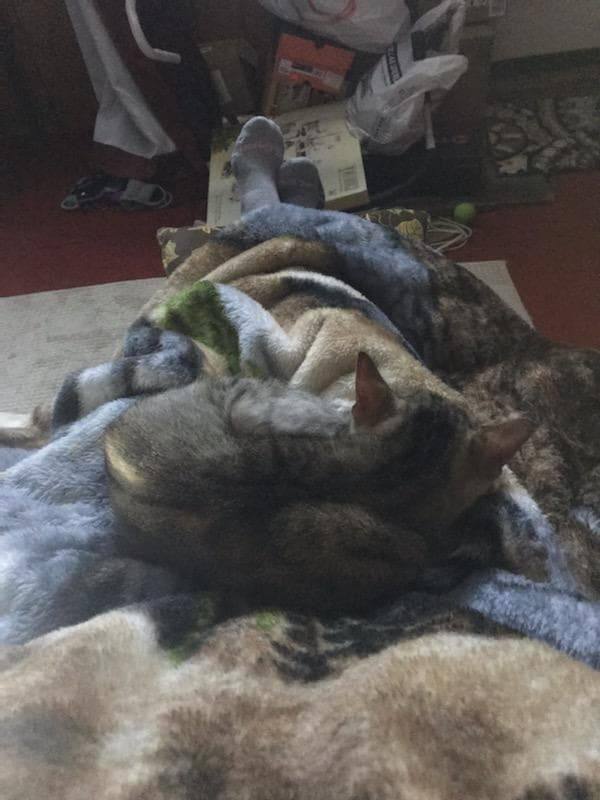 Sweet Pea thumbnail 6