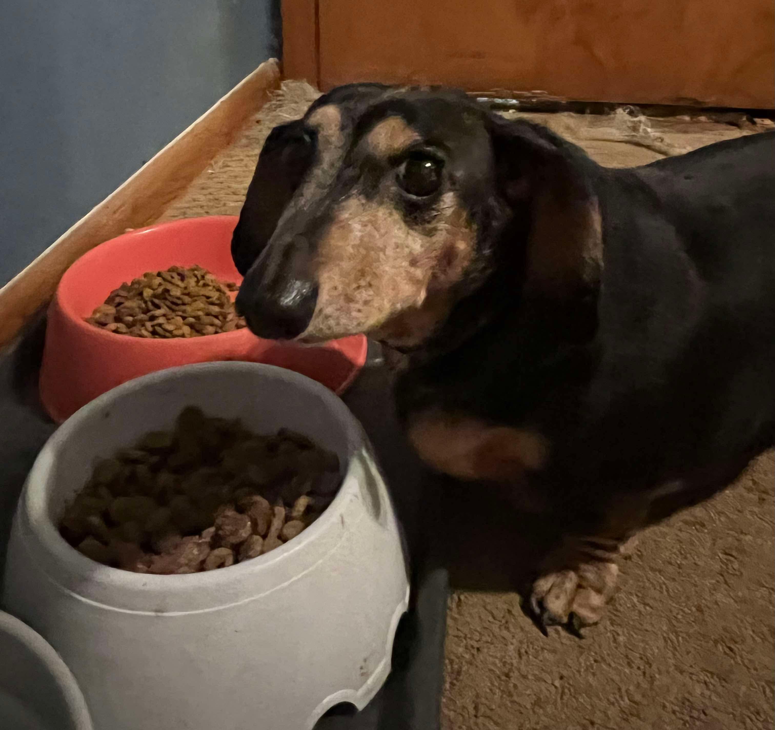 Charlotte Of Charlotte And