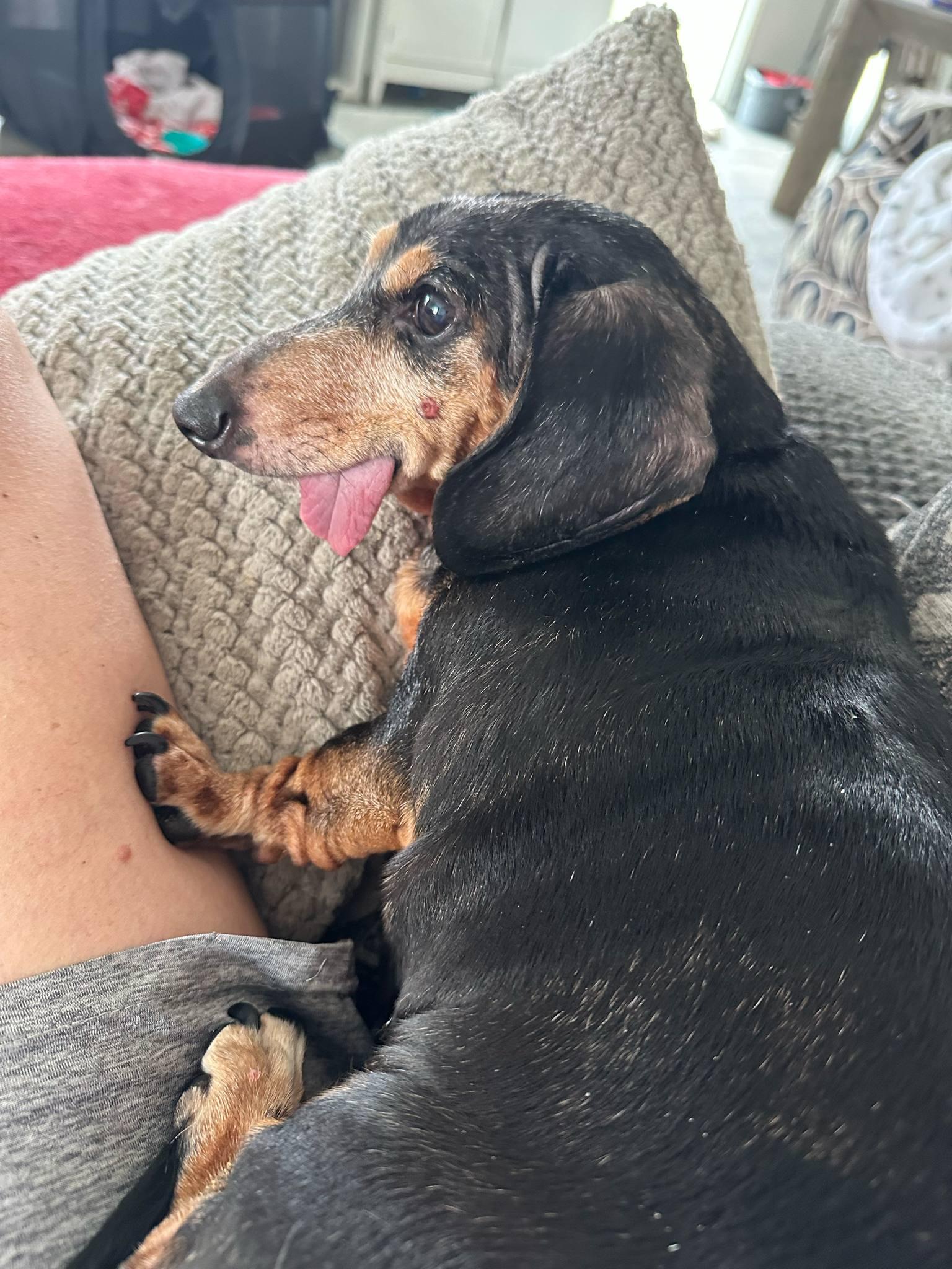 Charlotte Of Charlotte And thumbnail 3