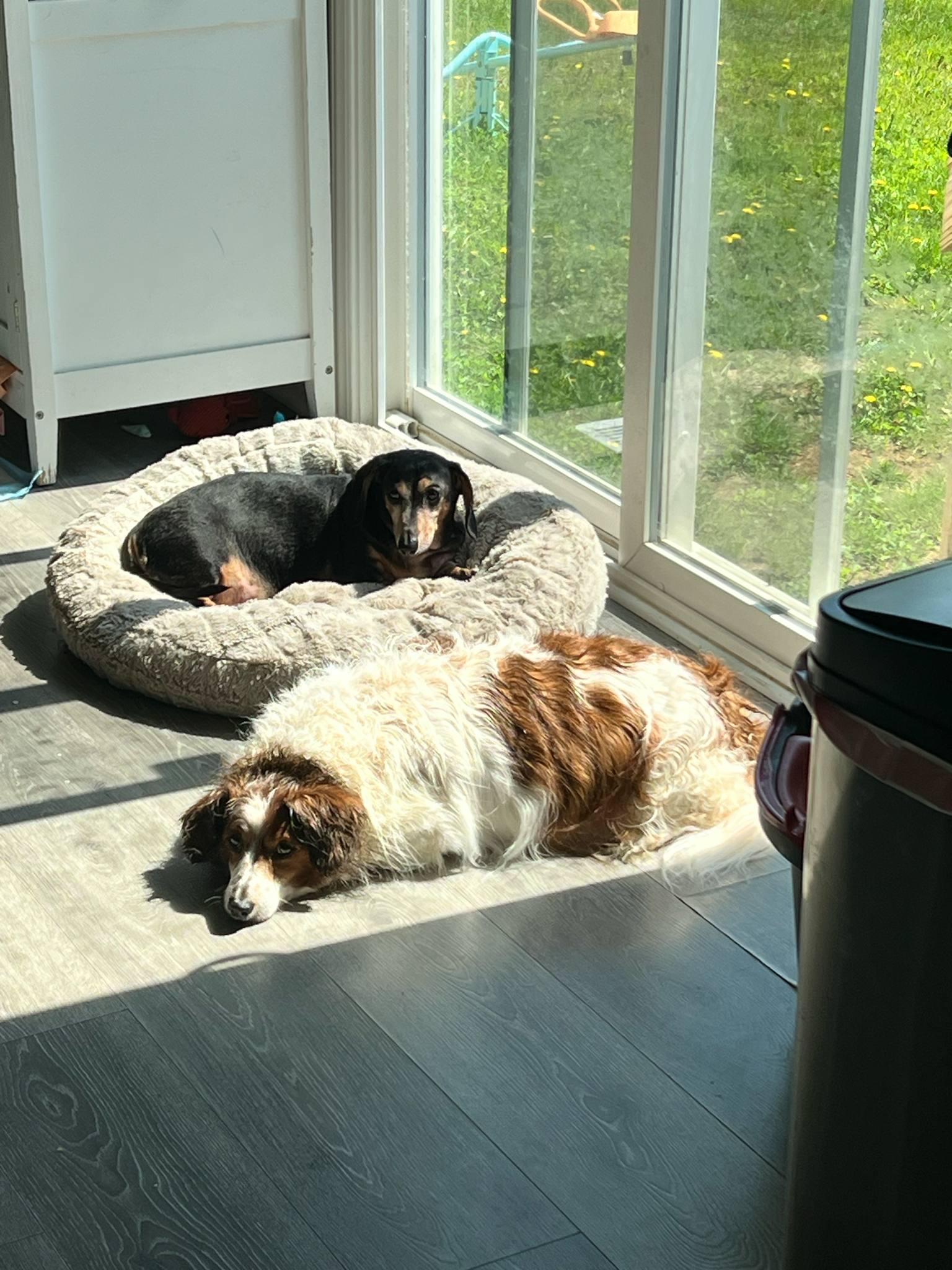 Charlotte Of Charlotte And thumbnail 4