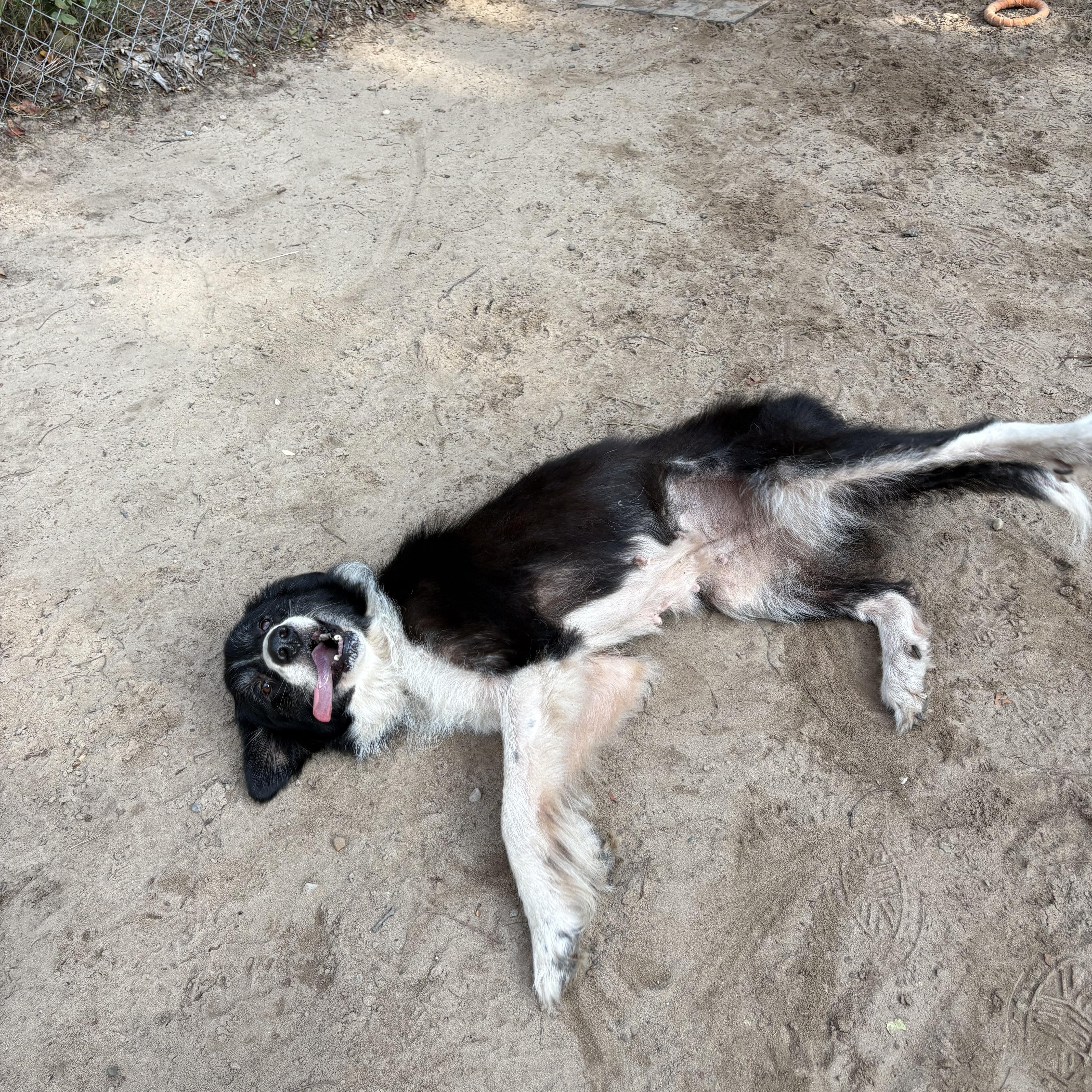 Addie photo 2