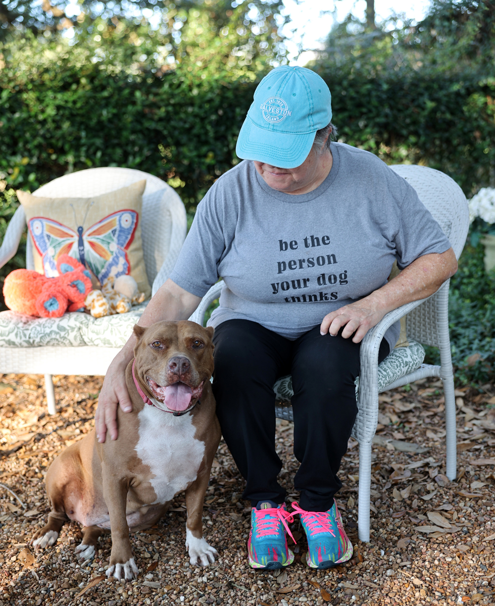Barbie-Sweet older pittie girl----calm and well mannered