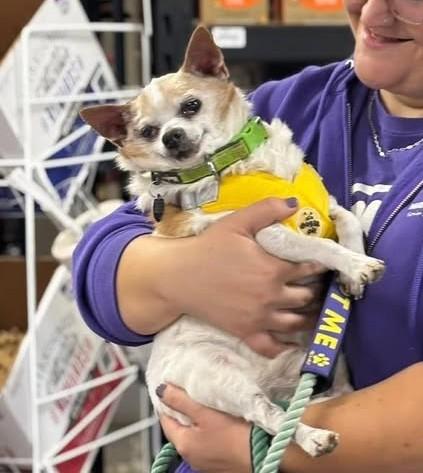 Farley — thumbnail 6