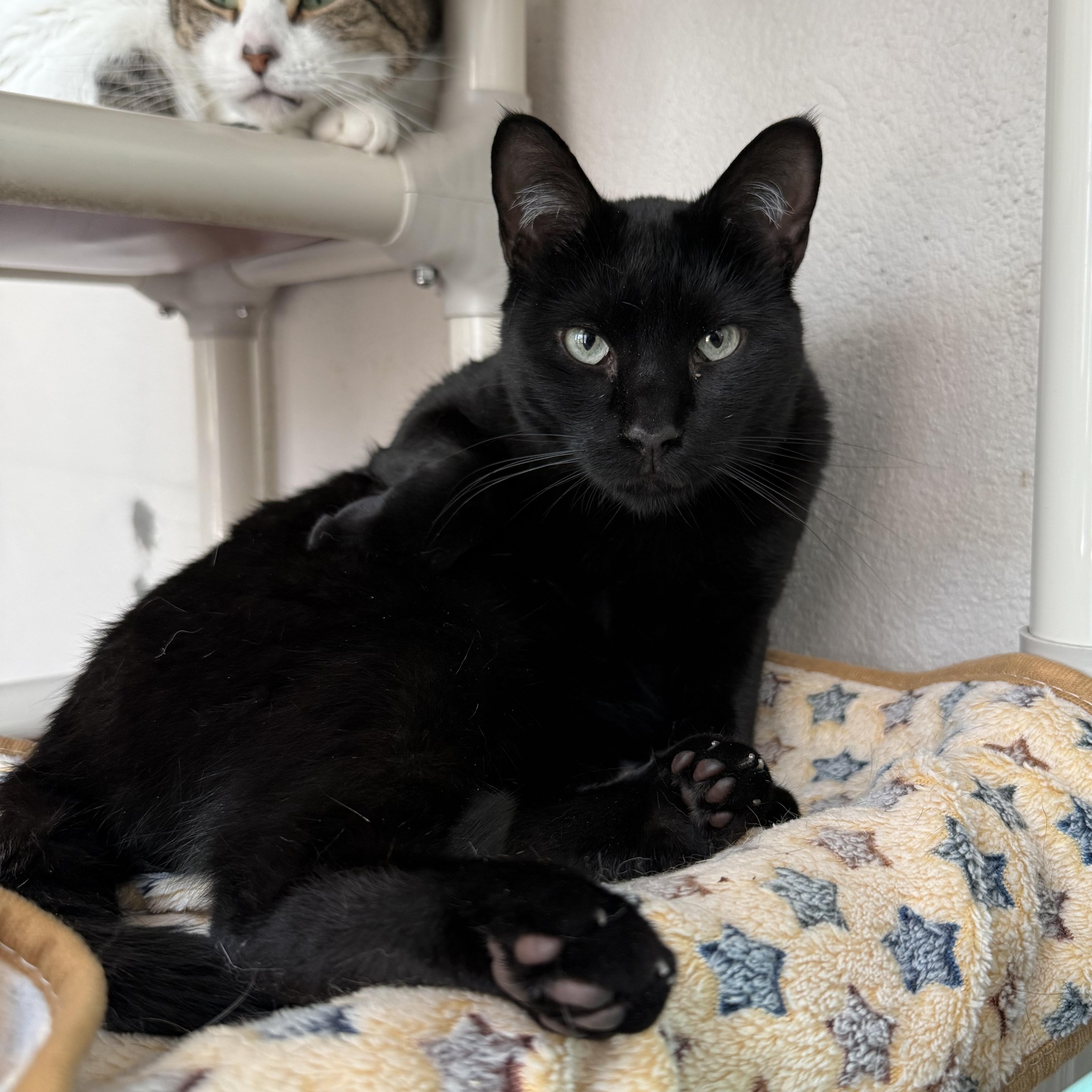 Julia — thumbnail 4