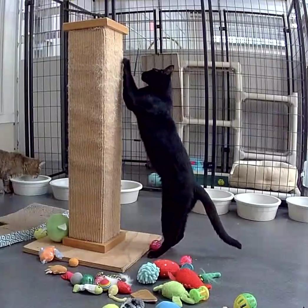 Julia — thumbnail 5