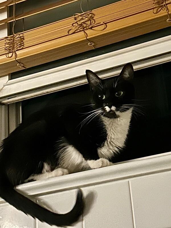 Lucy — thumbnail 2