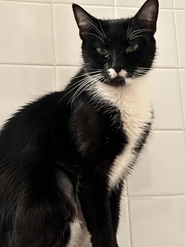 Lucy — thumbnail 3