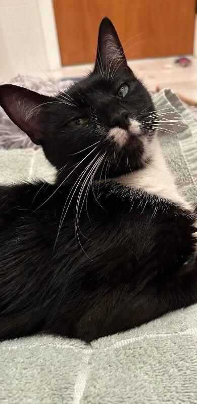 Lucy — thumbnail 4