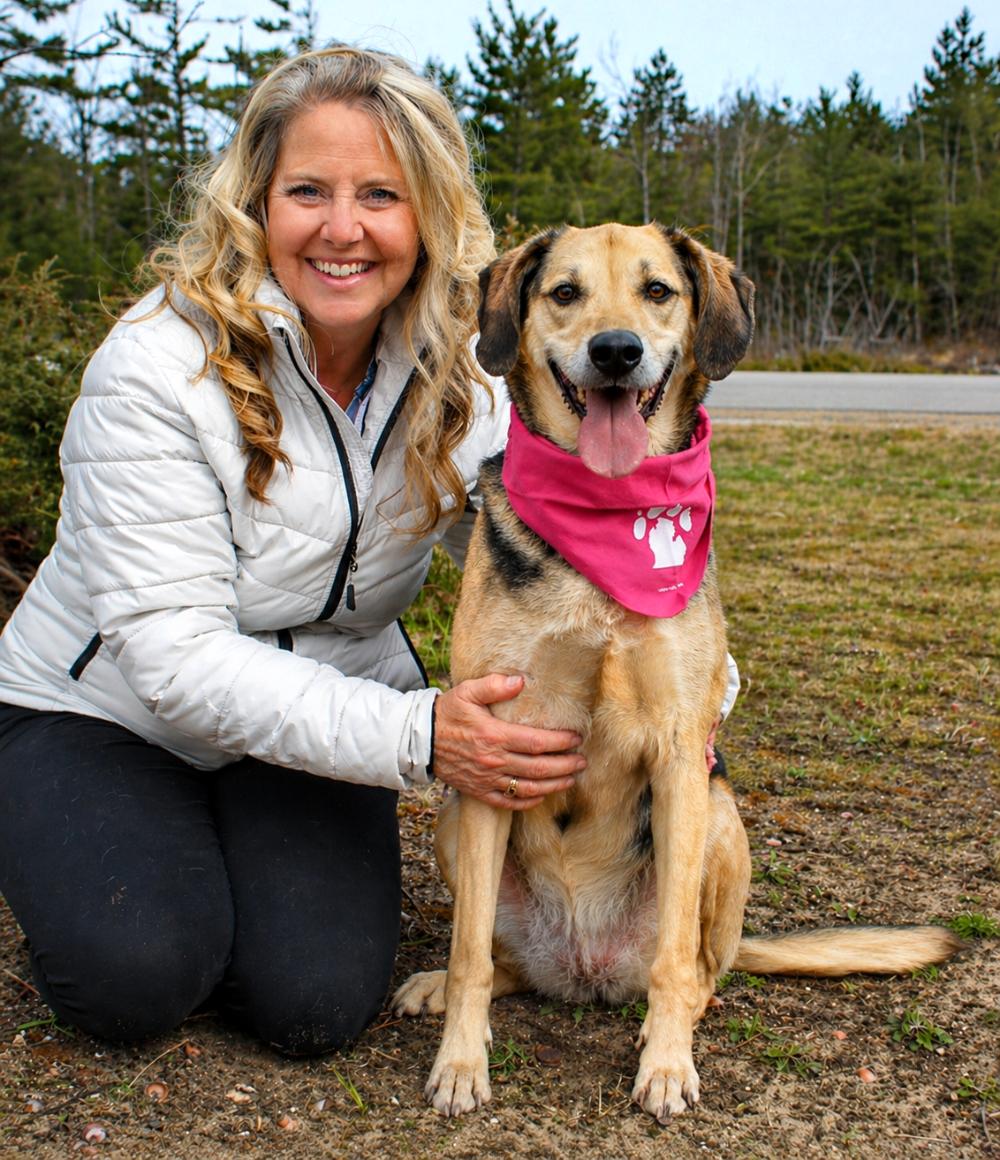 Enlarge Lucy, a ADOPTABLE mixed breed in Cheboygan, MI image 4/6