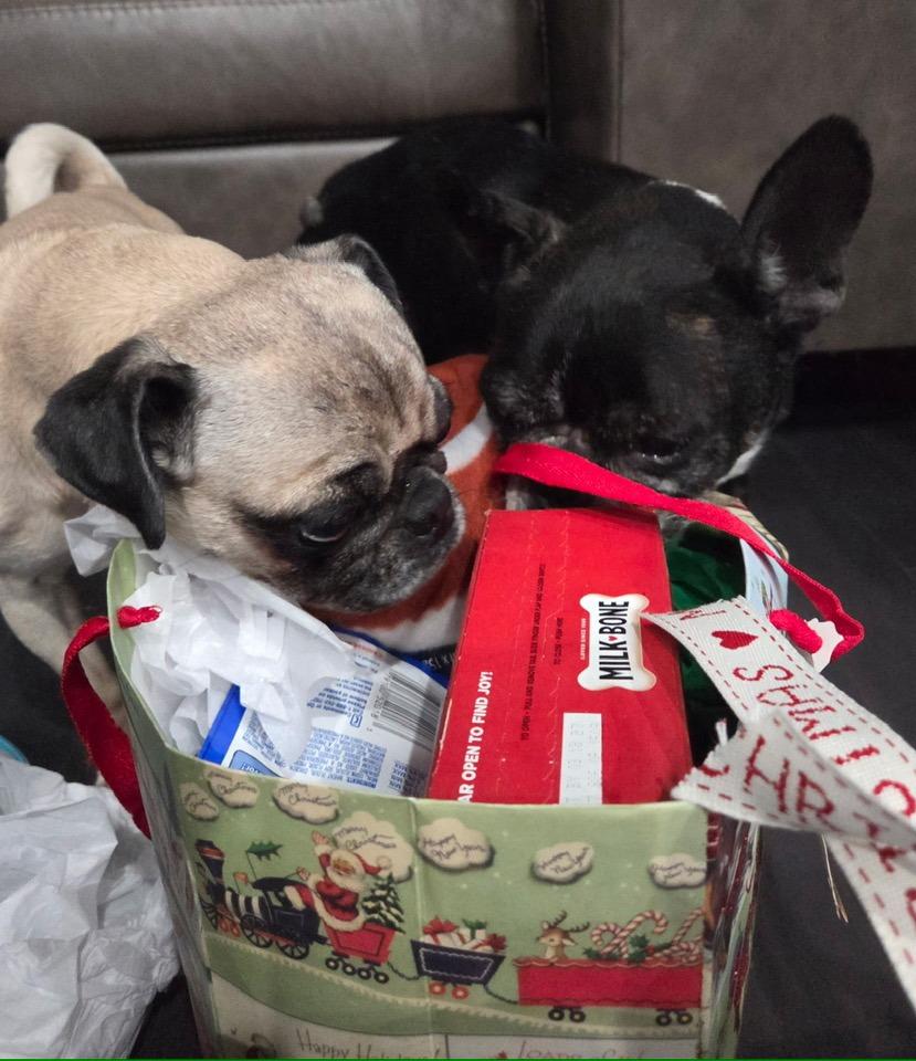 Midnight And Moon thumbnail 2