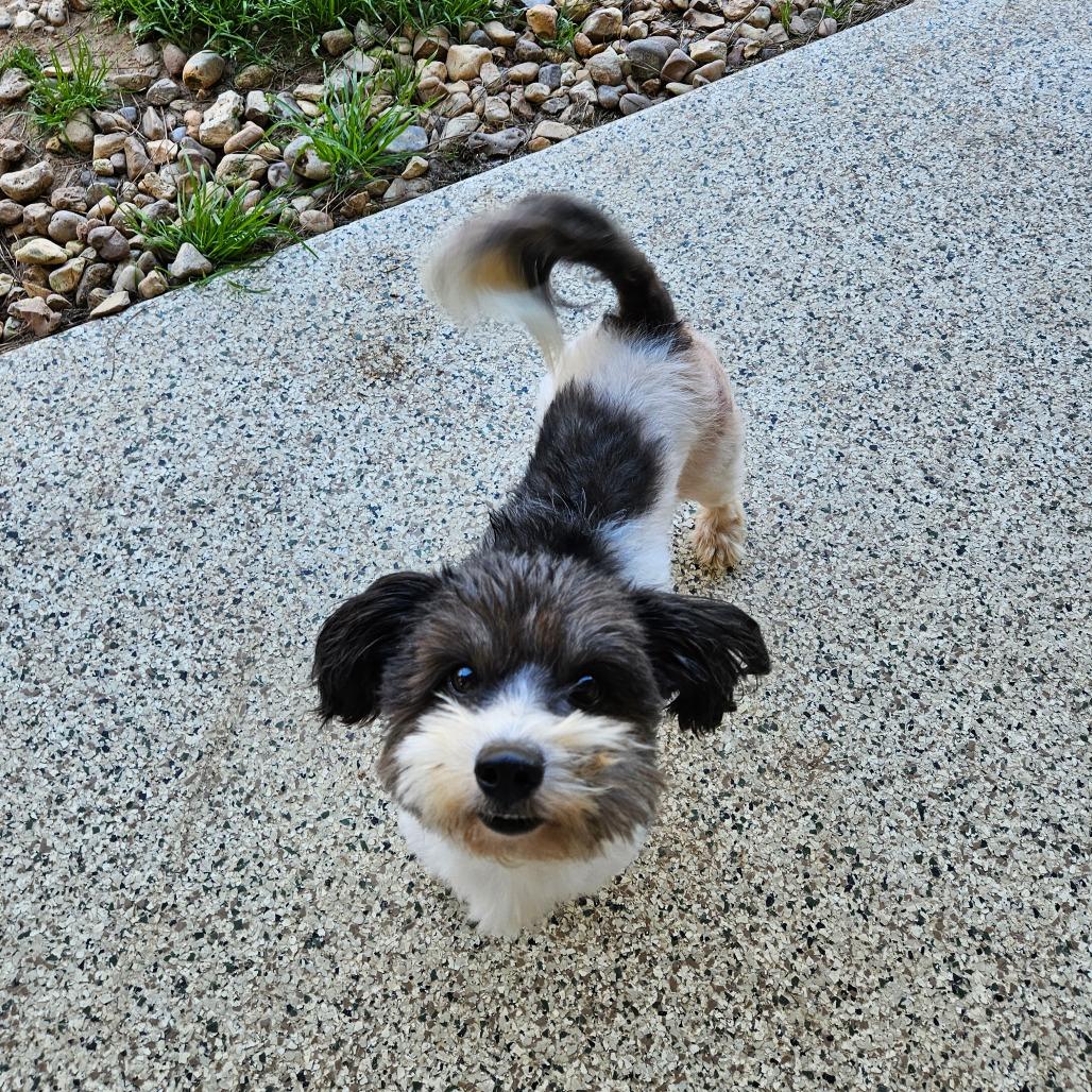 Tippy Wilder — thumbnail 2