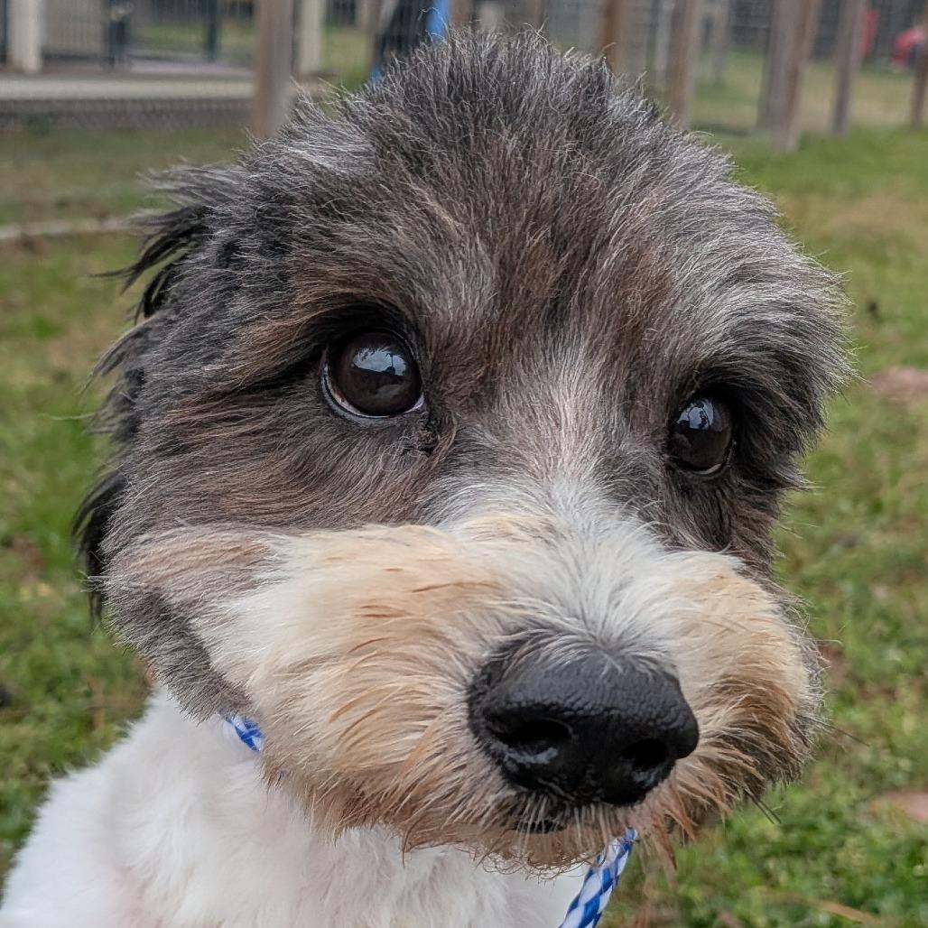 Tippy Wilder — thumbnail 3