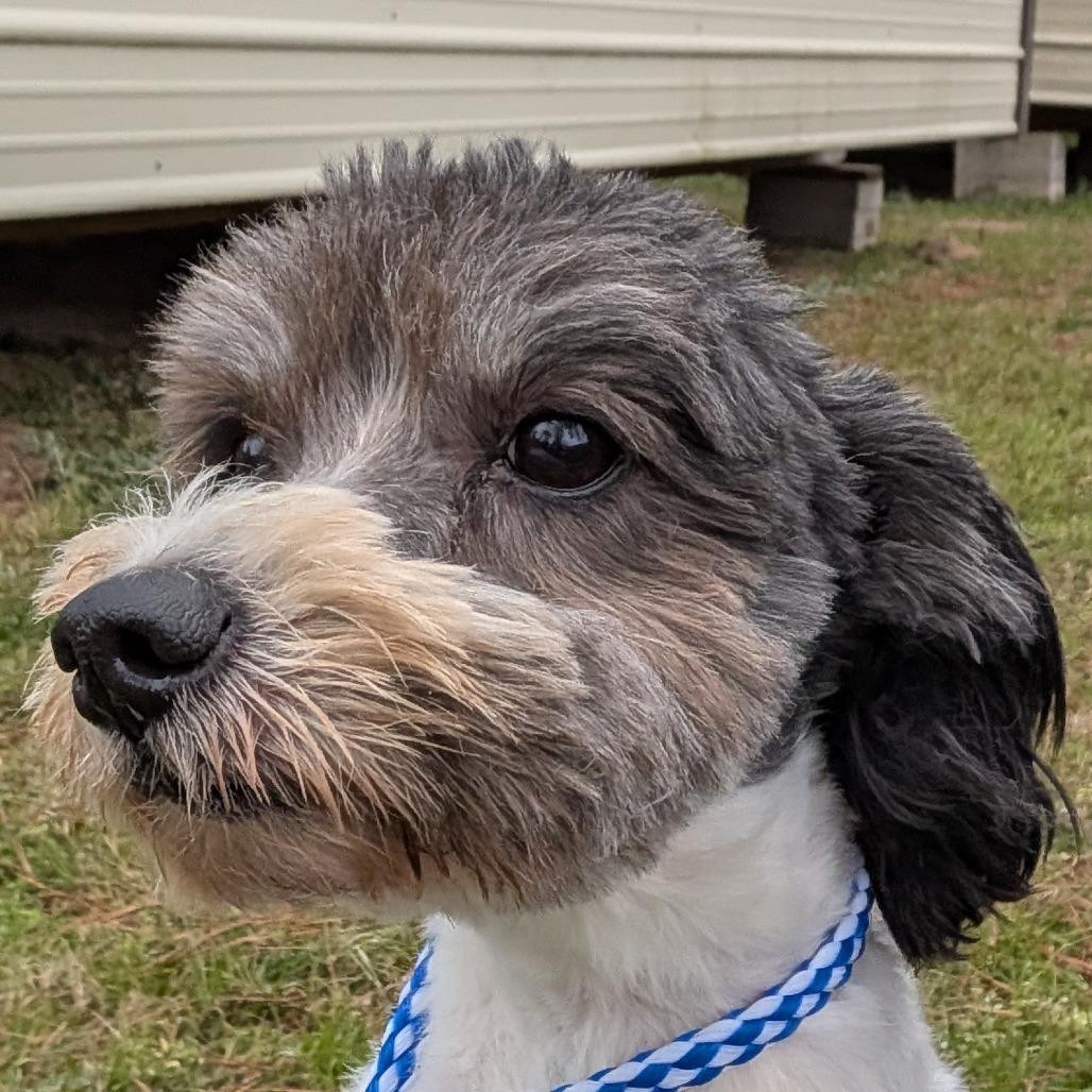 Tippy Wilder — thumbnail 4