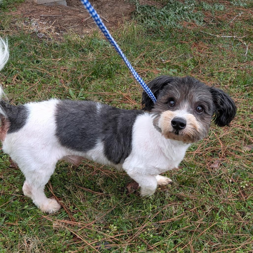 Tippy Wilder — thumbnail 5