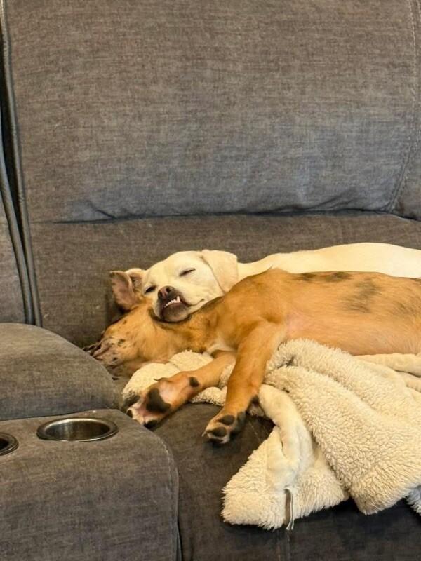 Jojo Jellybean the Sweetest Girl with the Best Smile