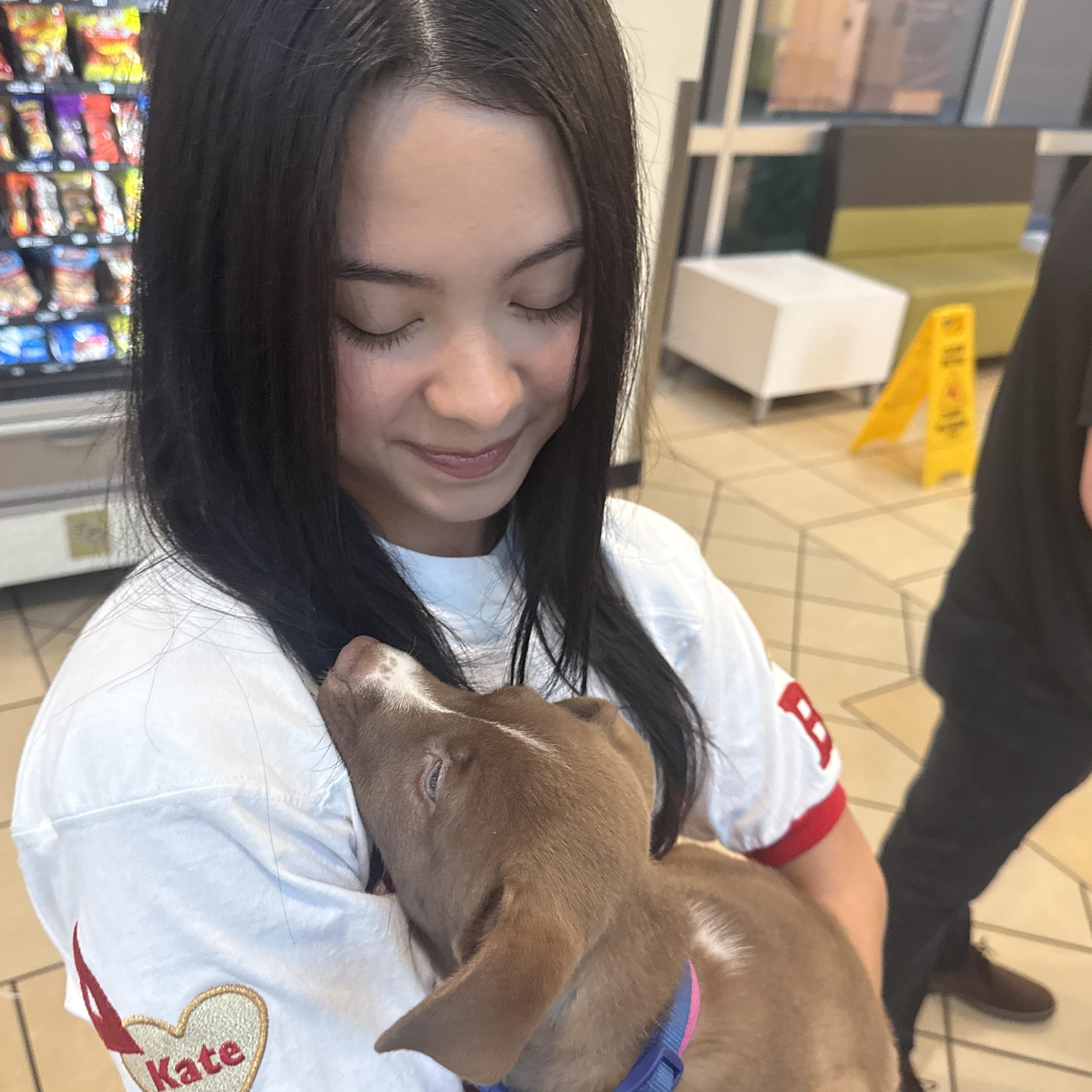 Enlarge Waverly, a ADOPTABLE mixed breed in Orlando, FL image 2/5