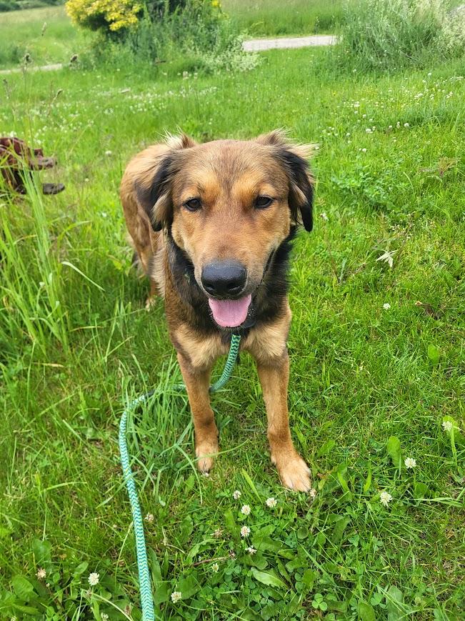 Axel