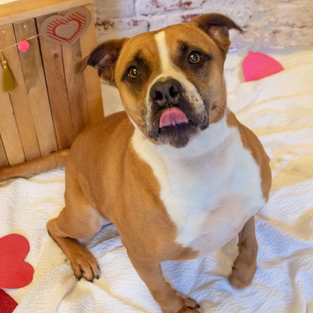 Miller — thumbnail 6