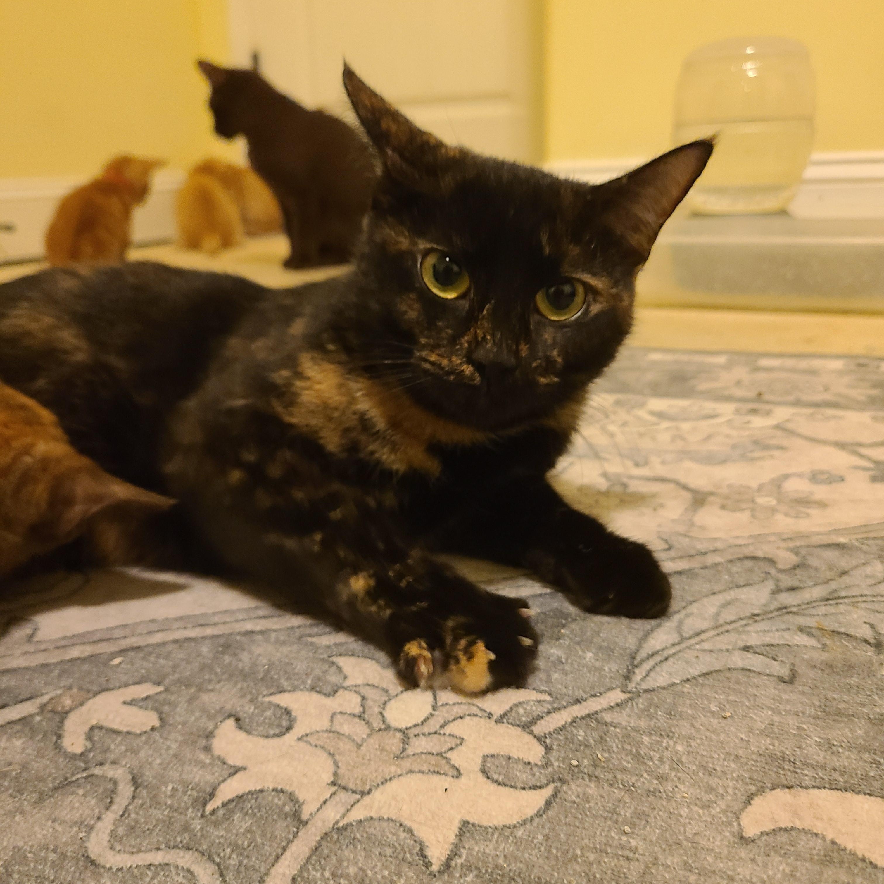 P.I.D.  - Winterville, GA