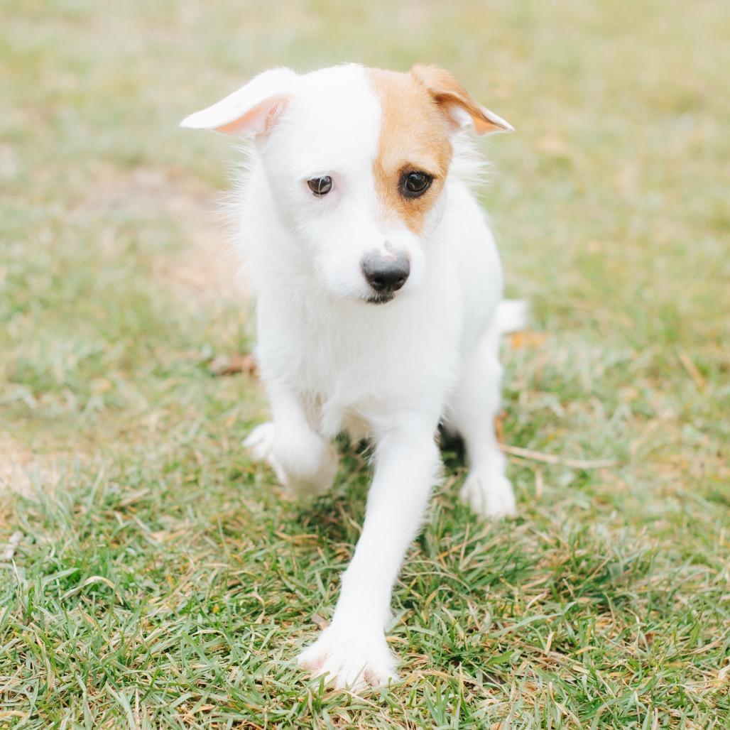 Cranberry Sauce thumbnail 4