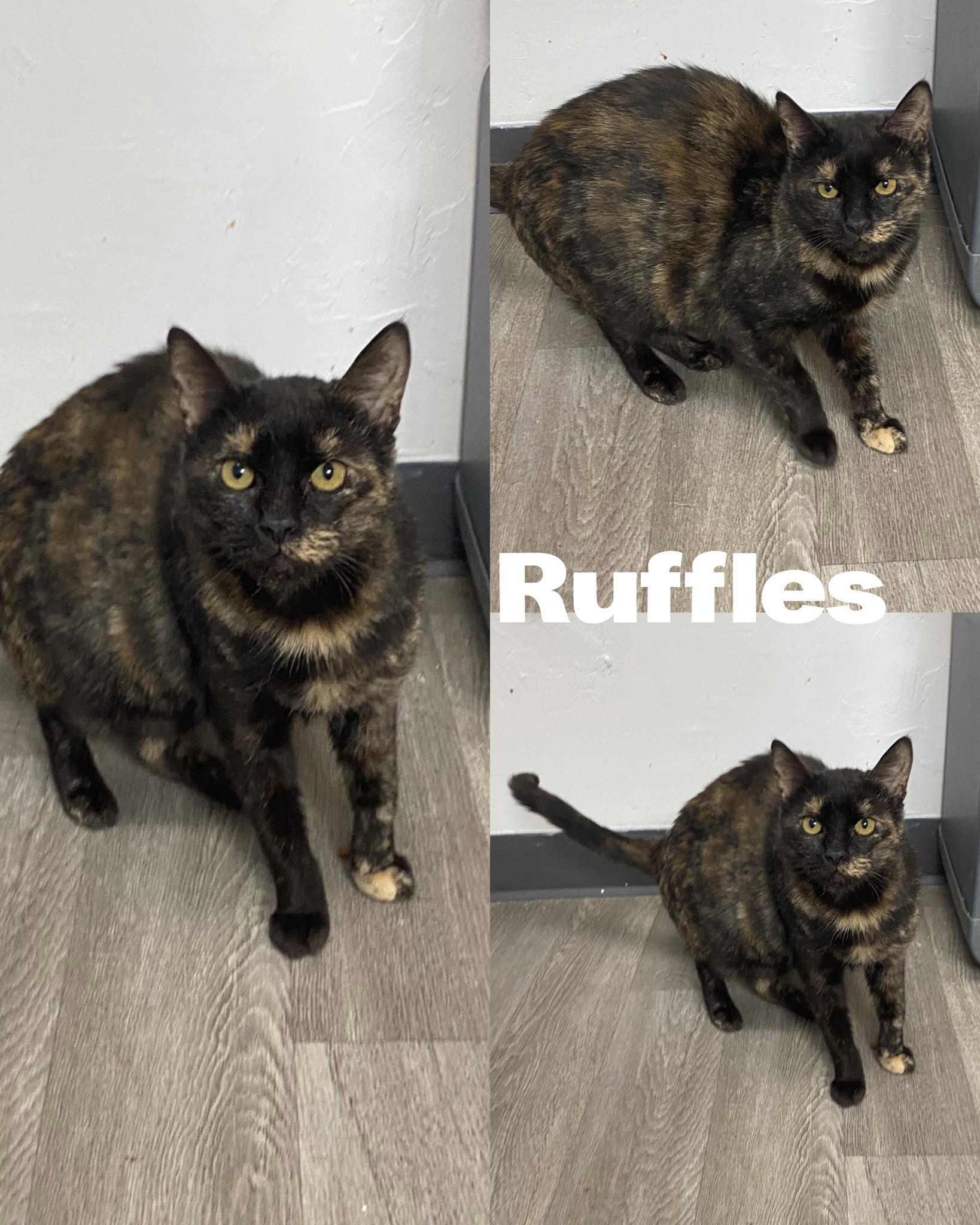 Ruffles