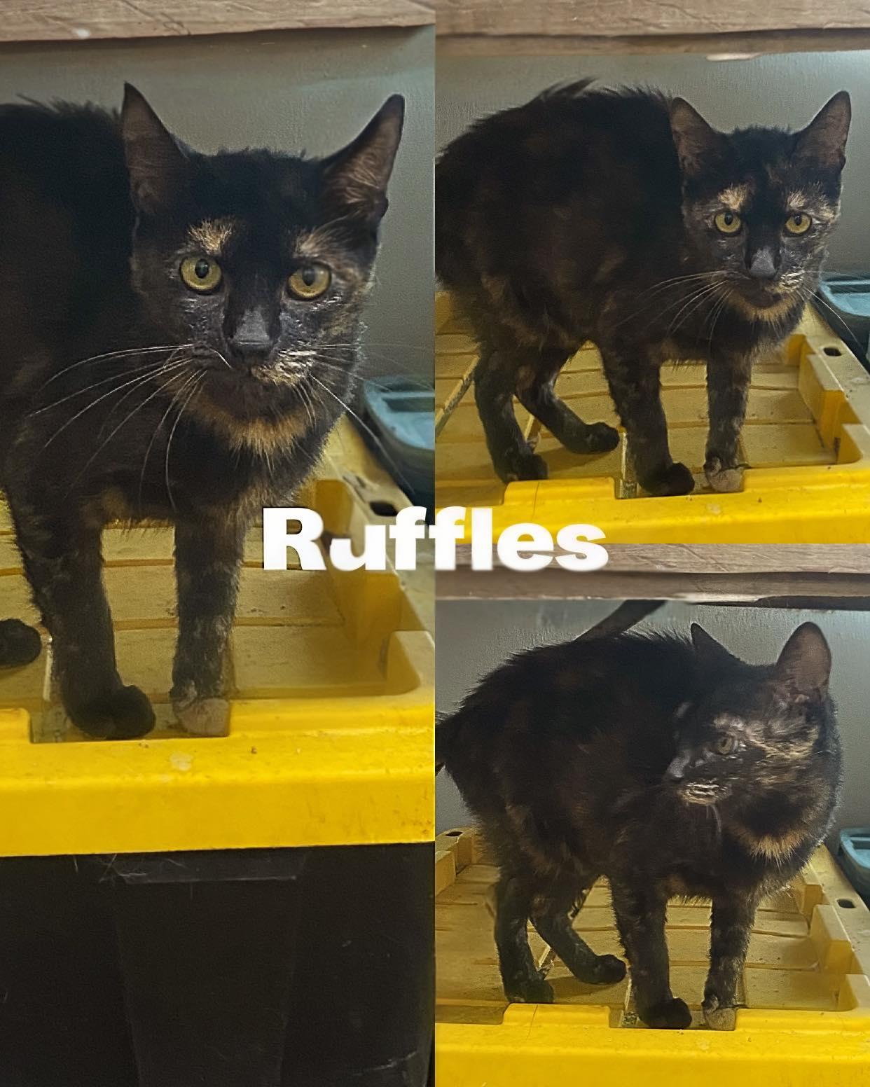 Ruffles
