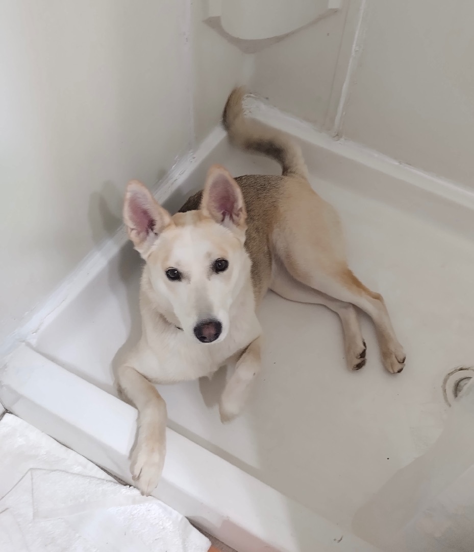 Luna photo 2