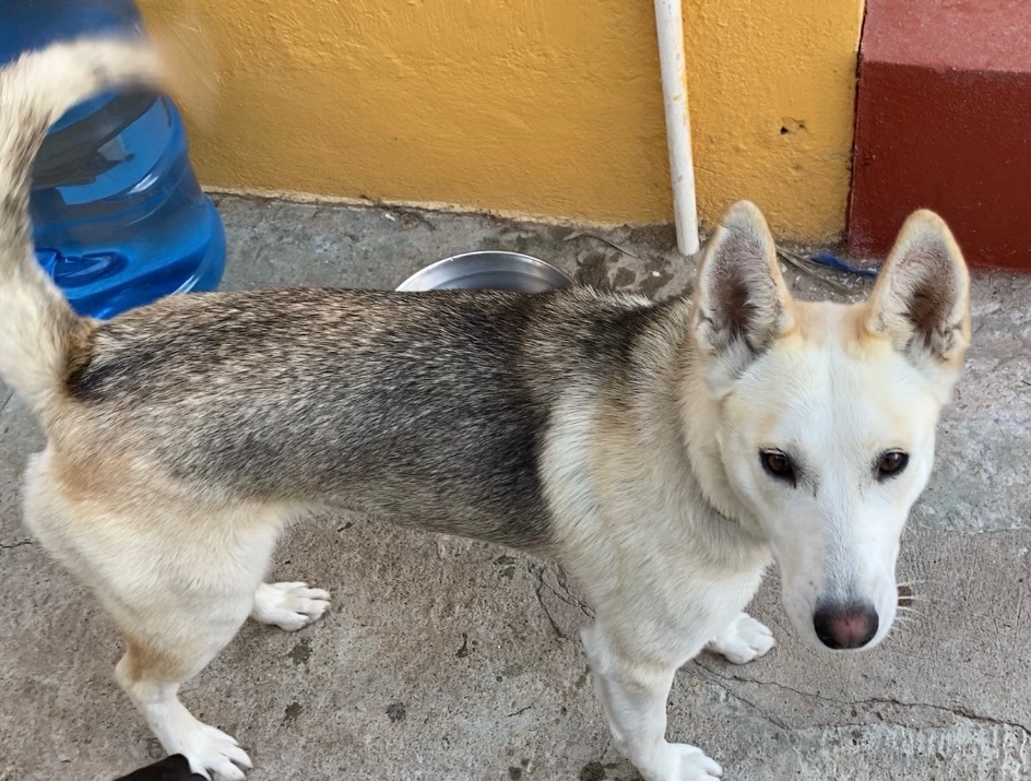 Luna photo 4