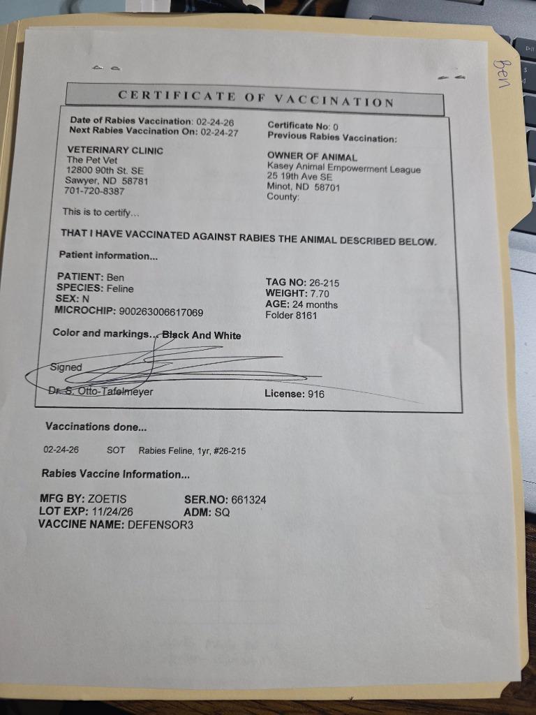 Enlarge Ben, a Adoptable mixed breed in Minot, ND image 3/3