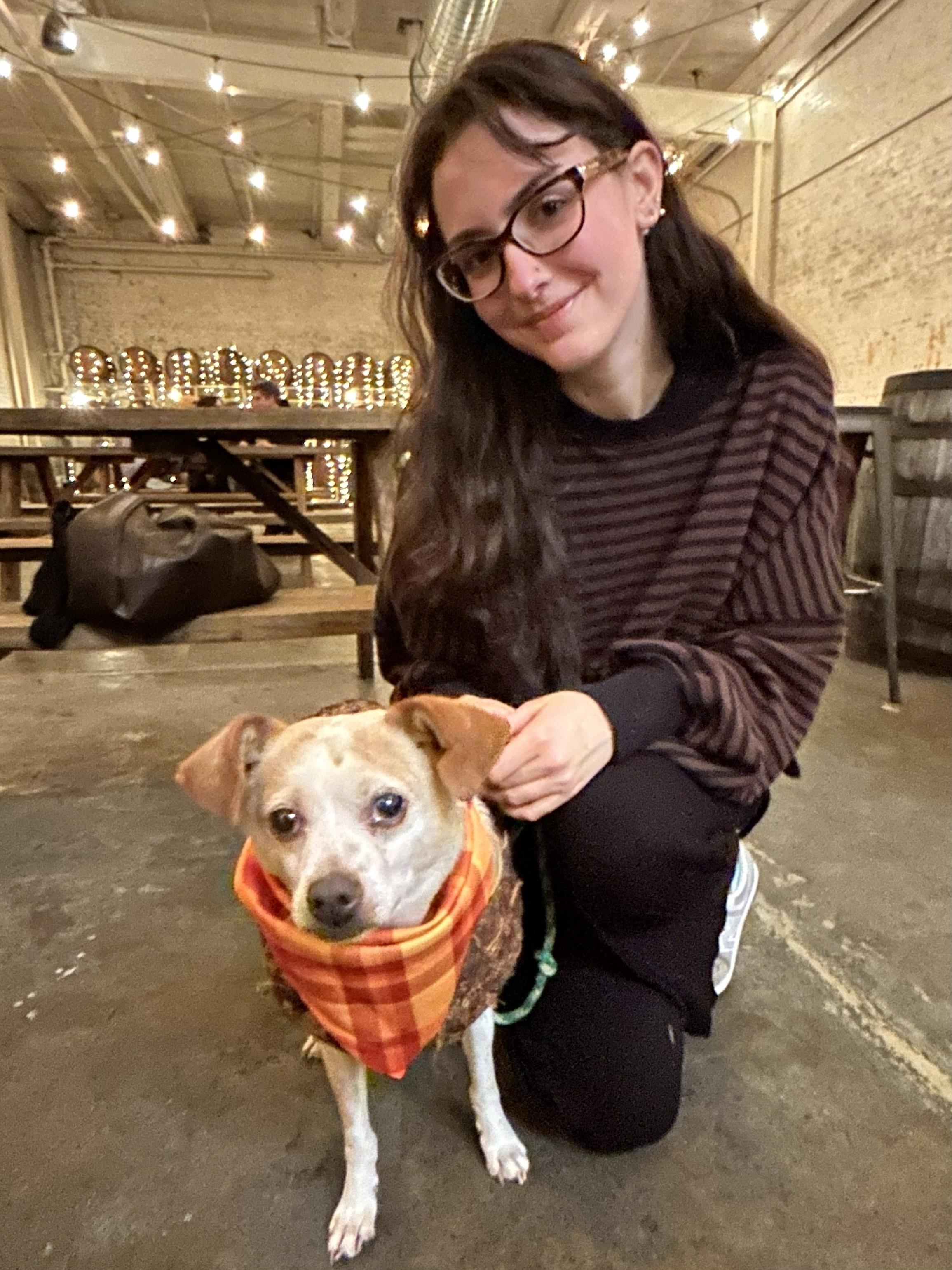 Poet, a Adoptable mixed breed in Clayton, NC image 4/5