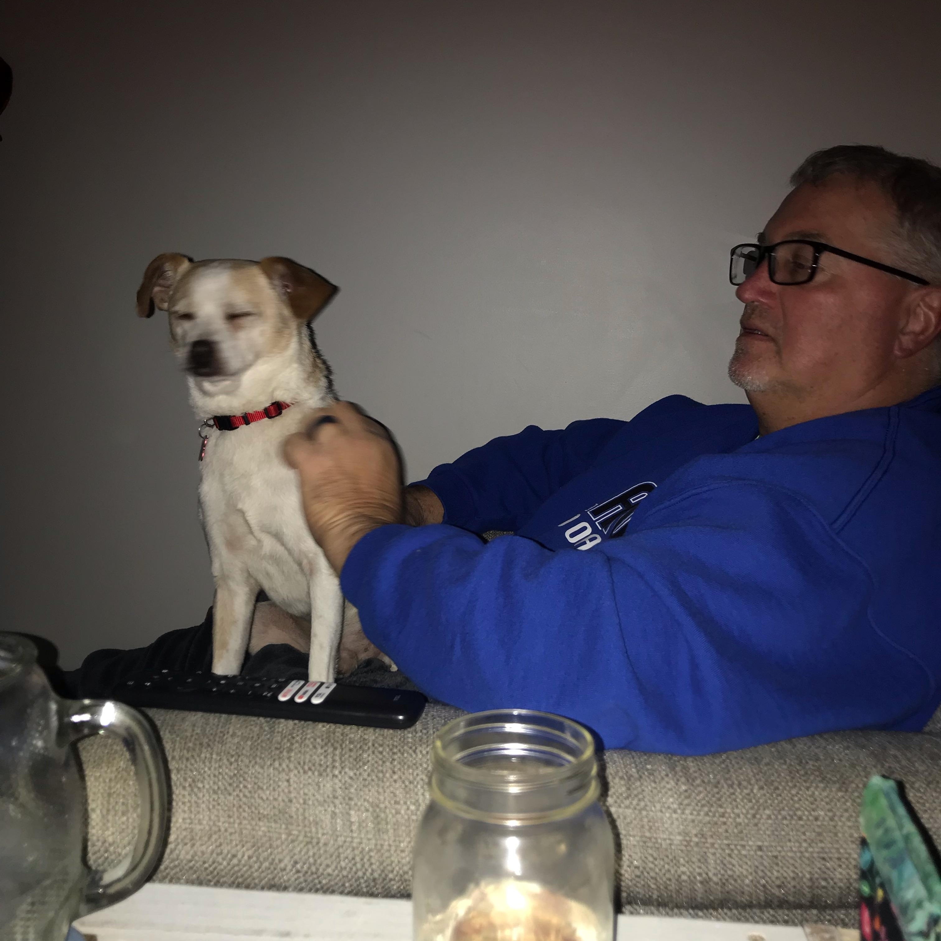 Poet - IN FOSTER HOME - AVAILABLE TO ADOPT, an adoptable mixed breed in Clayton, NC image 5/6