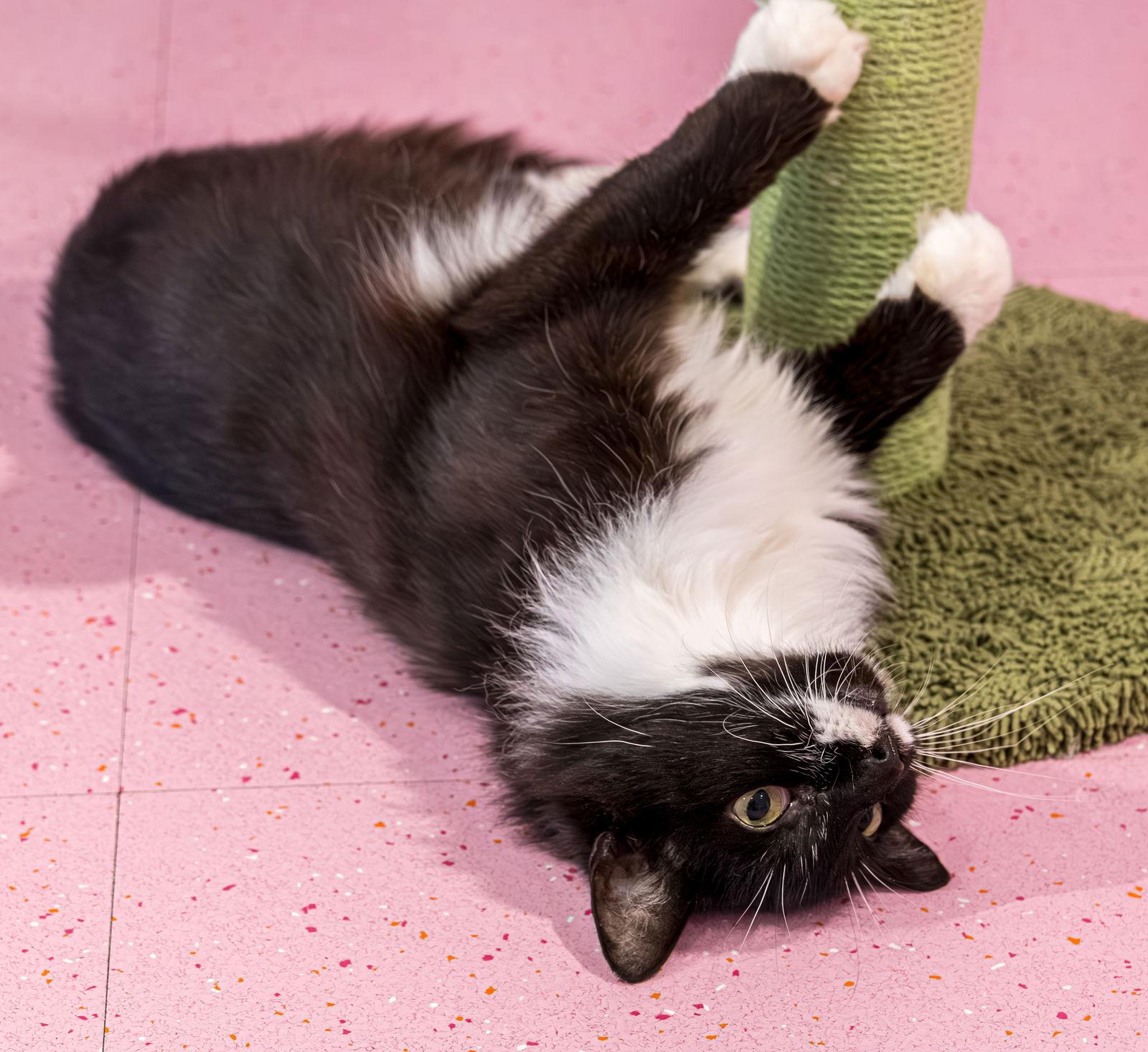 Canada  Kbc thumbnail 2