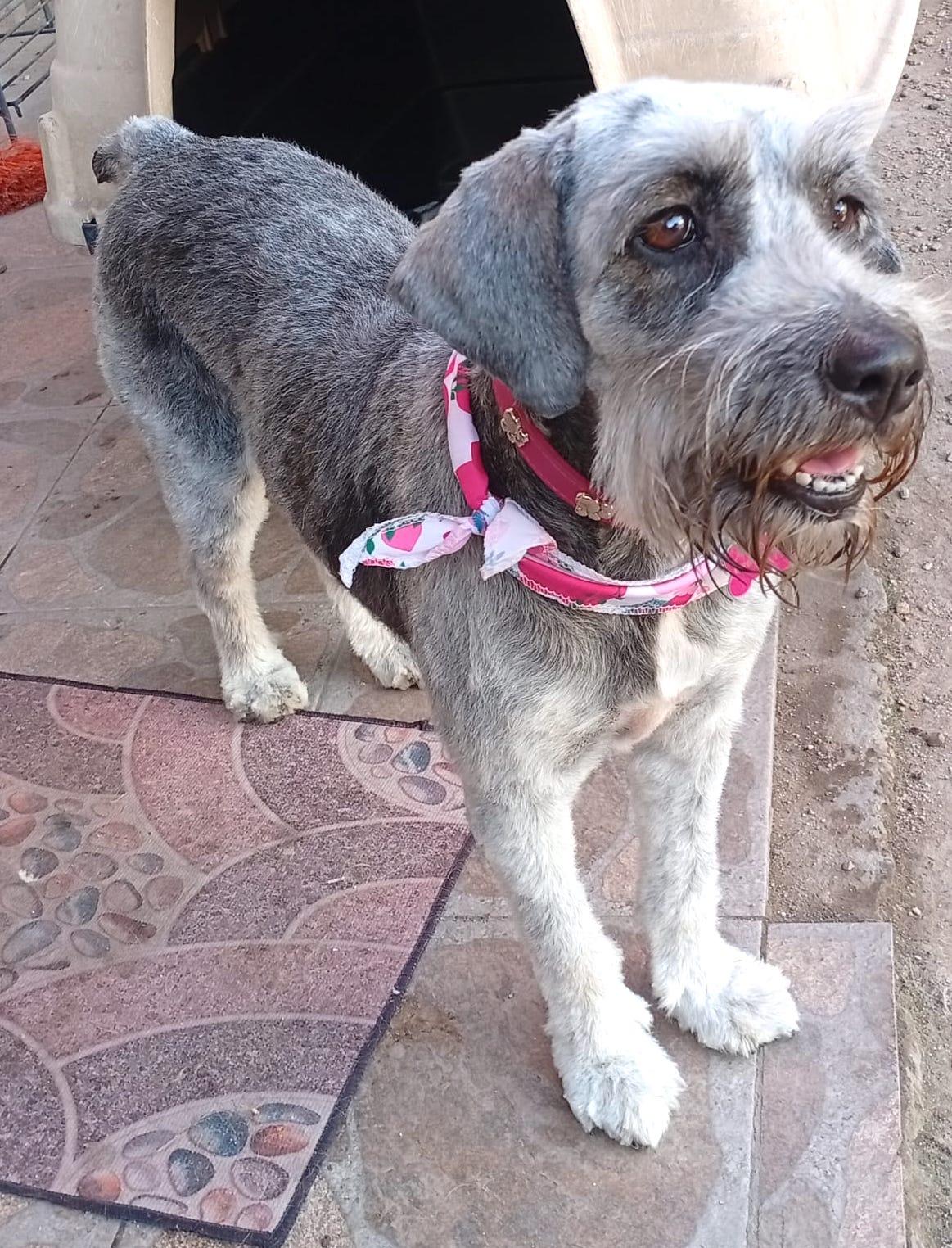 Princess (9) — thumbnail 2