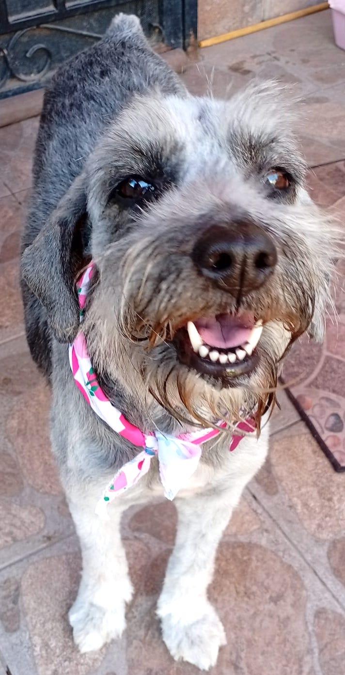 Princess (9) — thumbnail 3