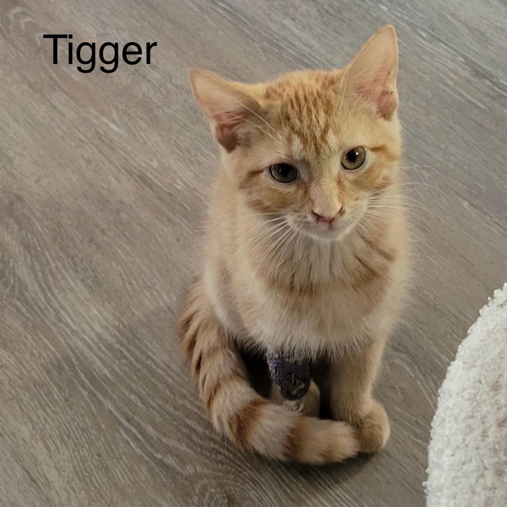 Tigger