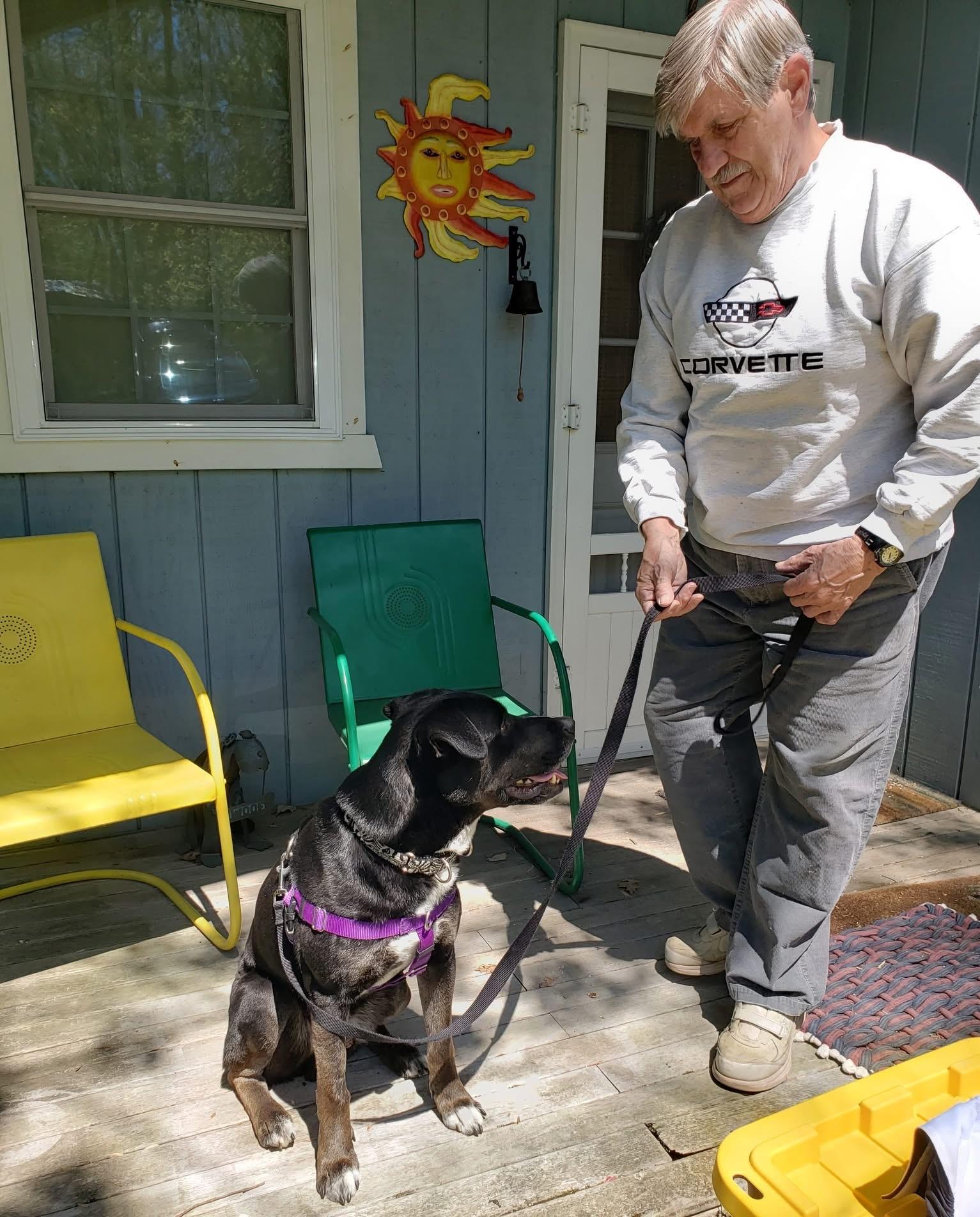 Enlarge Seahawk, a ADOPTABLE mixed breed in Voorhees, NJ image 5/6