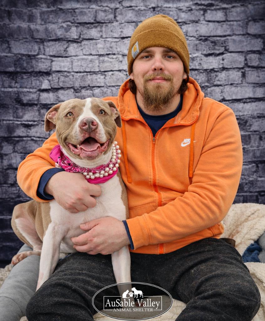 Princess Coco Bean, a Adoptable mixed breed in Grayling, MI image 5/6