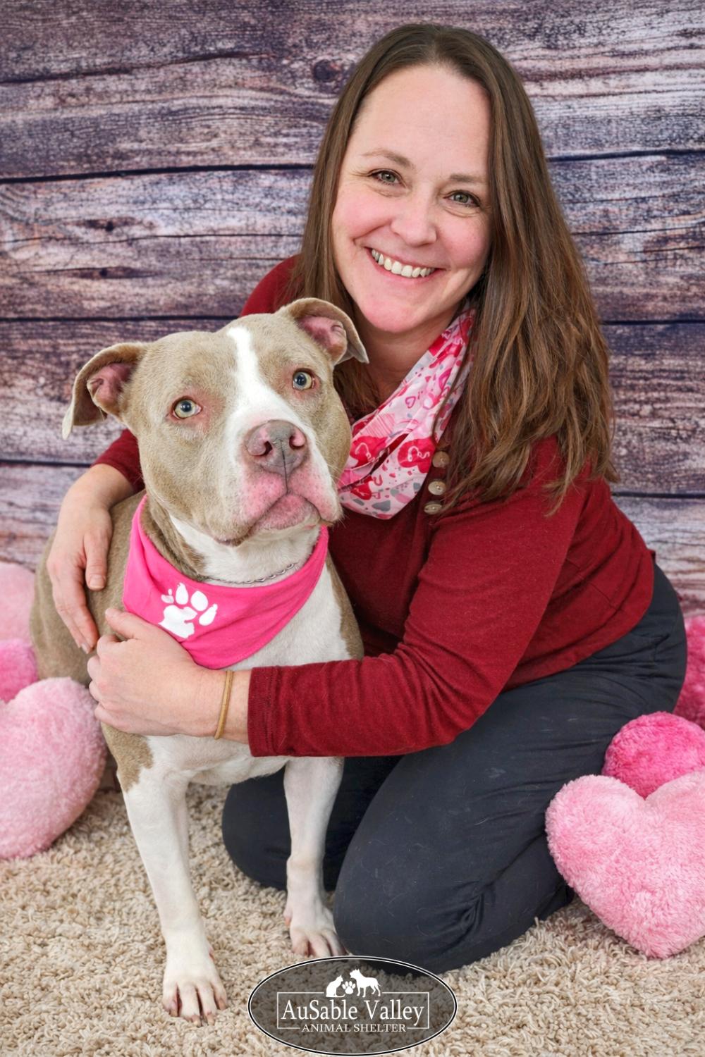 Princess Coco Bean, a Adoptable mixed breed in Grayling, MI image 2/6