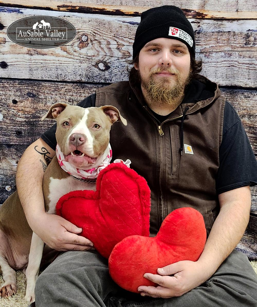 Princess Coco Bean, Adoptable, Adult Female Mixed Breed.