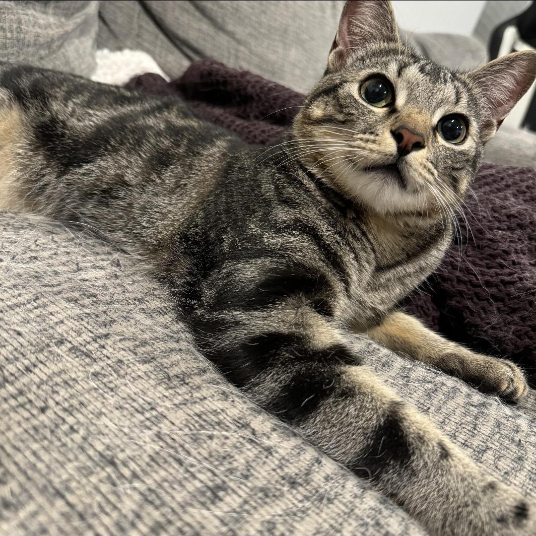 Rista and Logan (bonded)