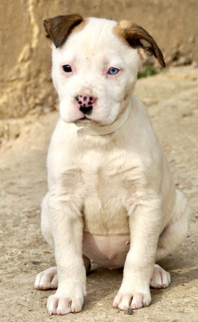 Christy Cutiepie — thumbnail 2