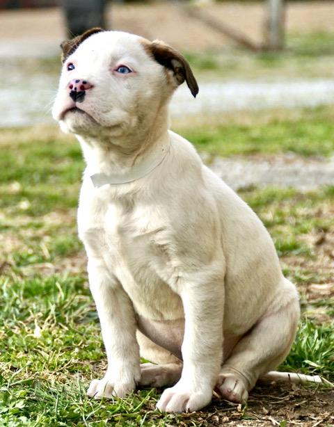 Christy Cutiepie — thumbnail 3