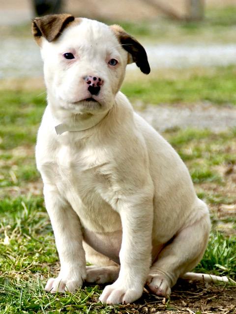 Christy Cutiepie — thumbnail 4