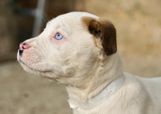 Christy Cutiepie — thumbnail 5