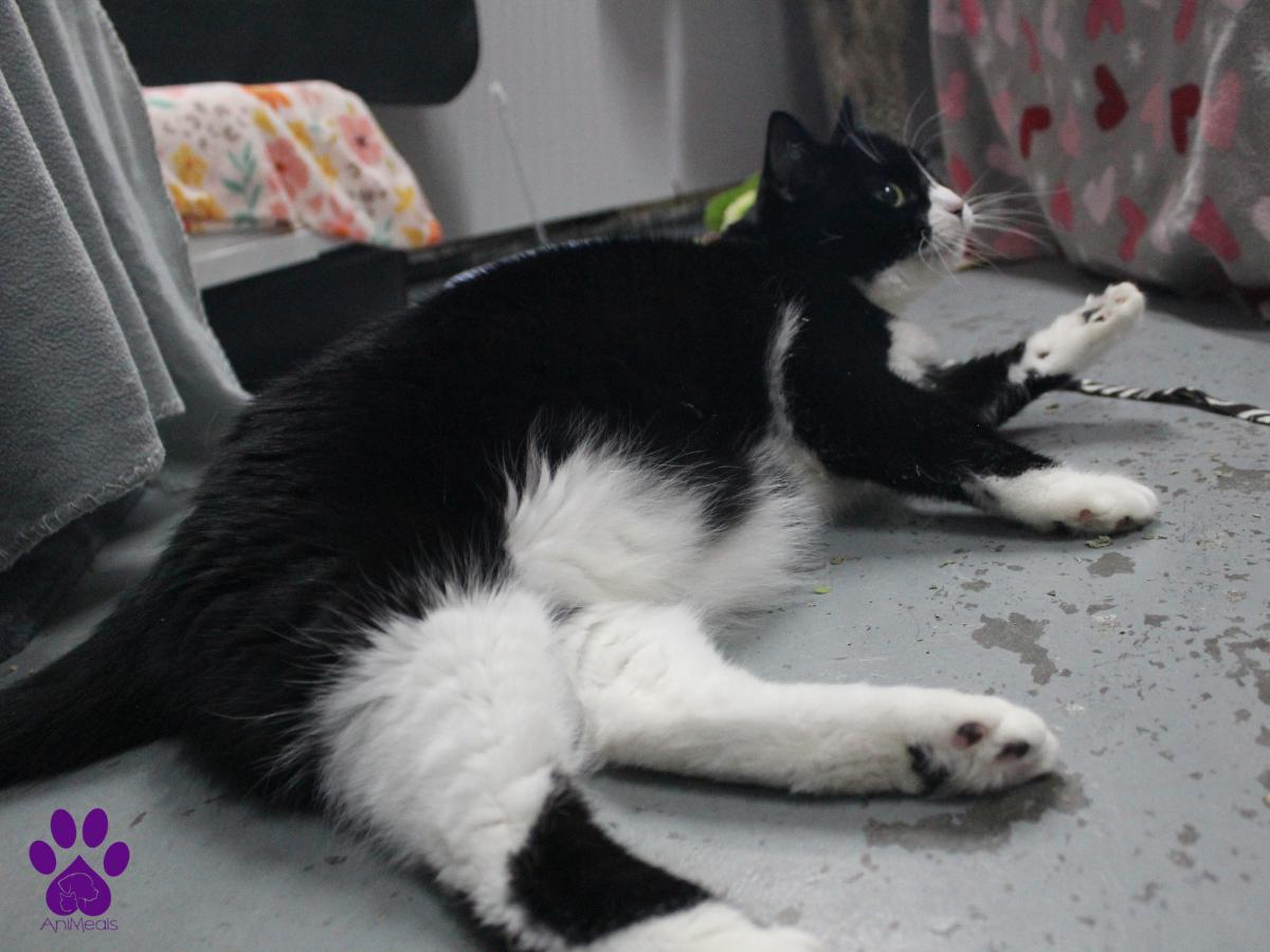 Tuxter photo 3
