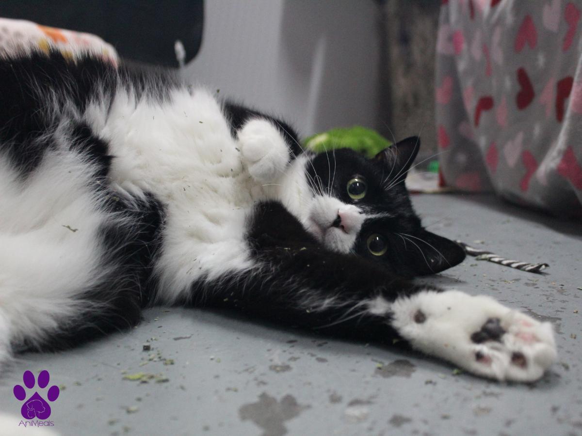 Tuxter photo 2