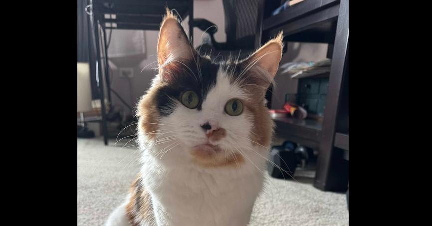 Miss June Bug — thumbnail 3