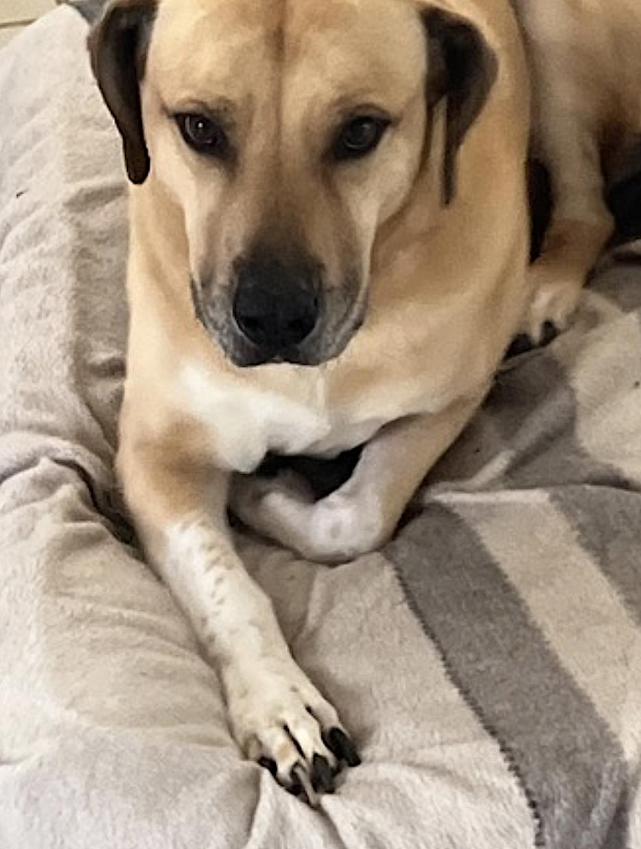 Chulo — thumbnail 4