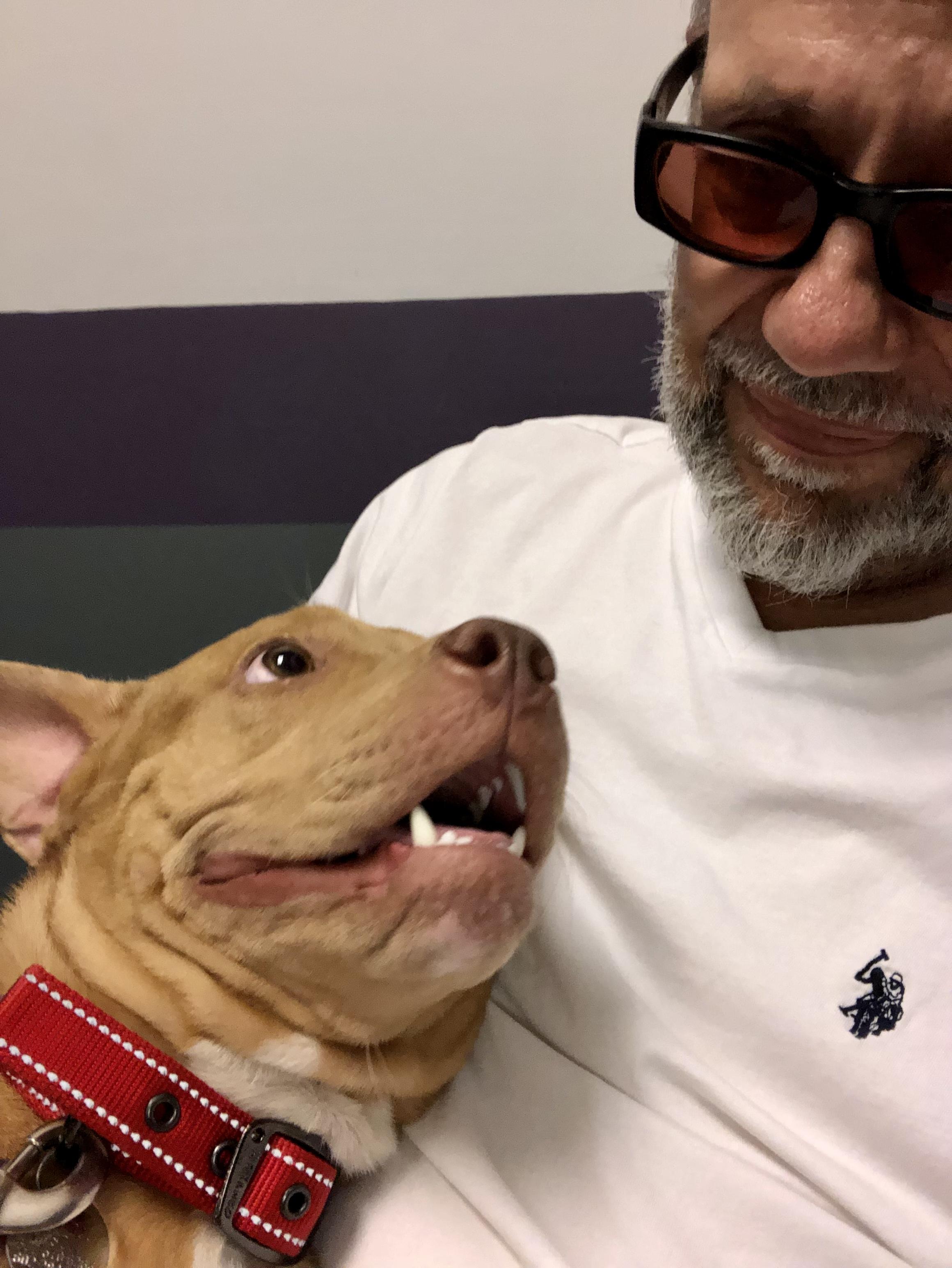 Poppy, a Adoptable mixed breed in Scottsdale, AZ image 2/6