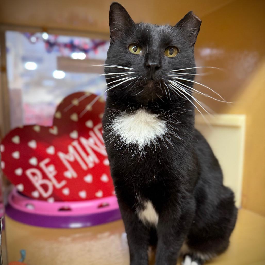 Roberna — thumbnail 2